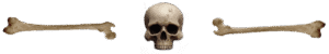 Skull Separator
