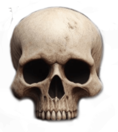POTN Skull